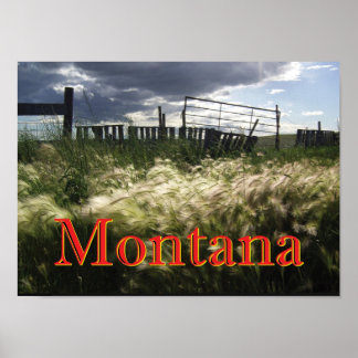 Póster Las hierbas de la Personalizado Montana