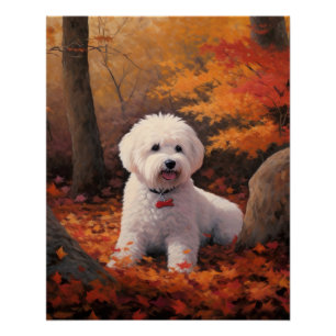 Póster Las hojas de Bichon Frise en otoño se inspiran