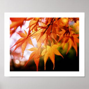 Póster Las hojas de otoño en una madera japonesa