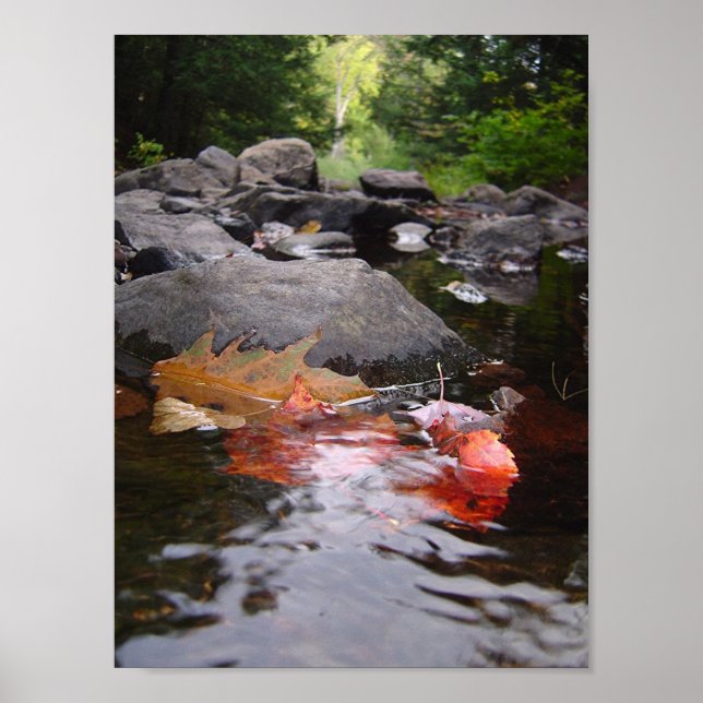 Póster Las hojas del río (Frente)