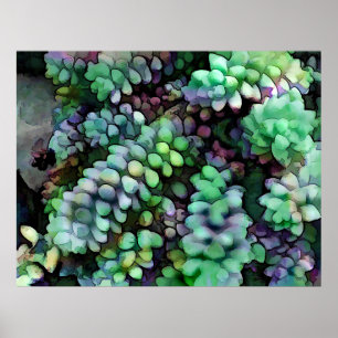 Póster Las huellas de Guay Hued Burro en el desierto cali