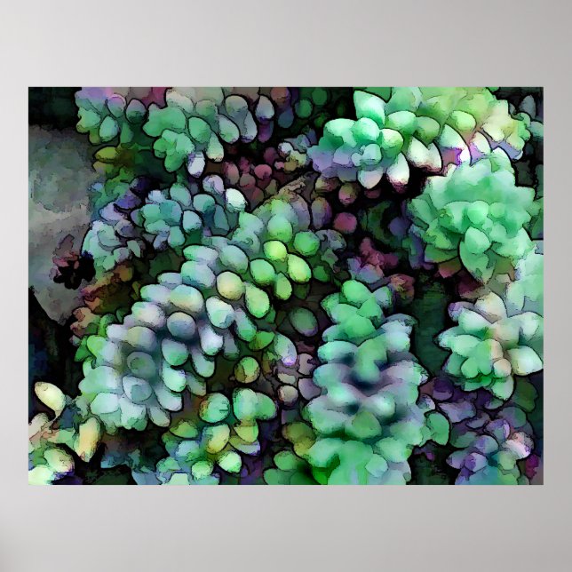 Póster Las huellas de Guay Hued Burro en el desierto cali (Frente)