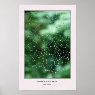 Póster Las joyas 4 de la madre naturaleza