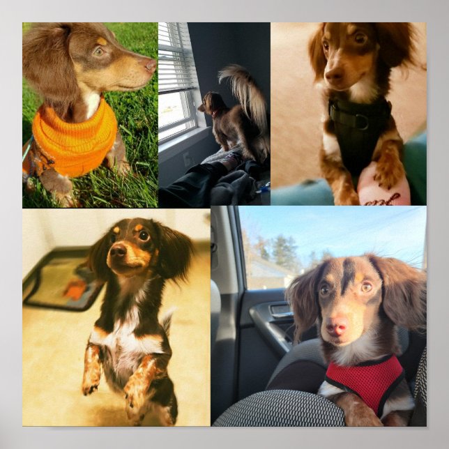 Póster Las lindas fotos de Kio (Frente)