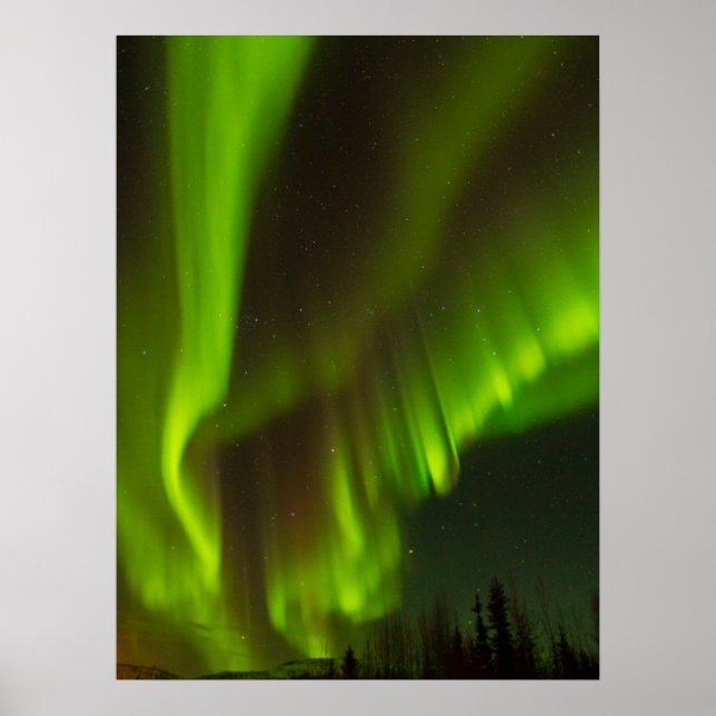 Póster Las luces del norte | Fairbanks, Alaska (Frente)