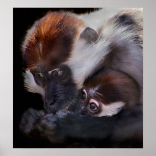 Póster Las madres aman