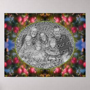 Póster Las manzanas rojas en el marco del árbol añaden la