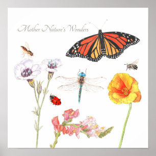 Póster Las maravillas de la madre naturaleza