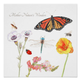 Póster Las maravillas de la madre naturaleza