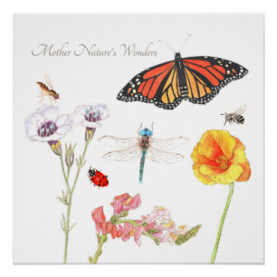 Póster Las maravillas de la madre naturaleza