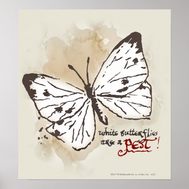 Póster Las mariposas blancas son una plaga (Frente)
