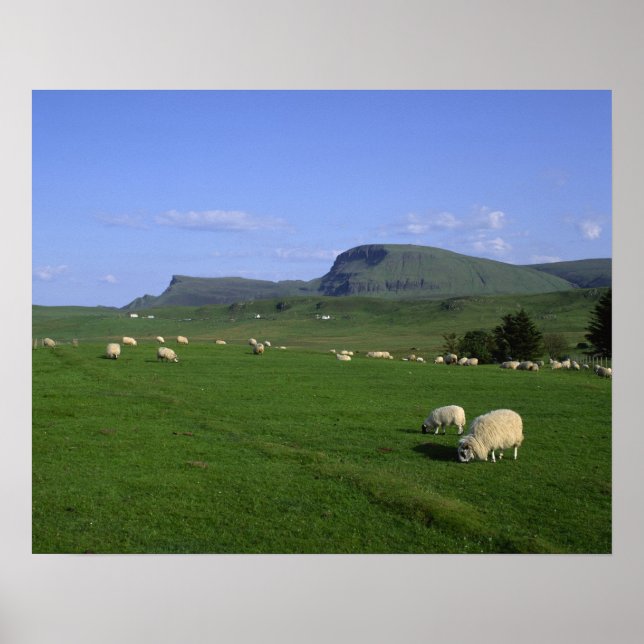 Póster Las montañas Quiraing, Isla de Skye, Tierras Altas (Frente)
