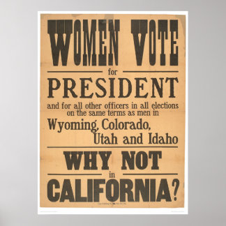 Póster Las mujeres votan en Broadside (1873A)