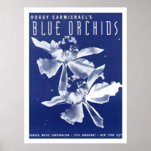 Póster Las orquídeas "azules " de Carmichael del Hoagy