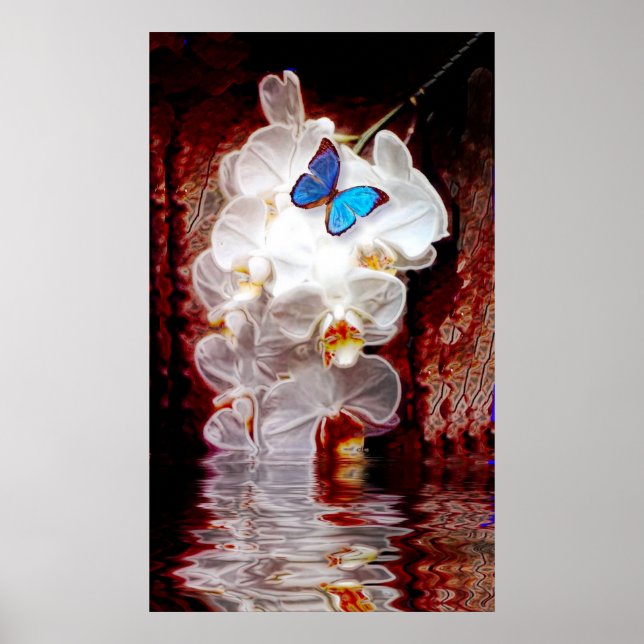 Póster Las orquídeas y la imprenta de las mariposas (Frente)