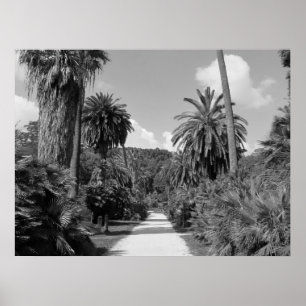 Póster Las palmeras perduran