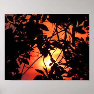 Póster Las piernas al sol