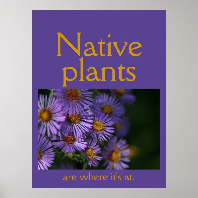 Póster Las plantas nativas son lo máximo (Frente)