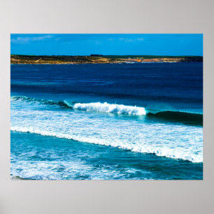 Póster Las Playas Que Te Hacen Ir Guau,