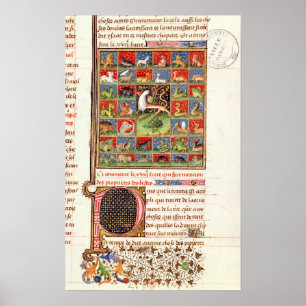 Póster Las propiedades de animales