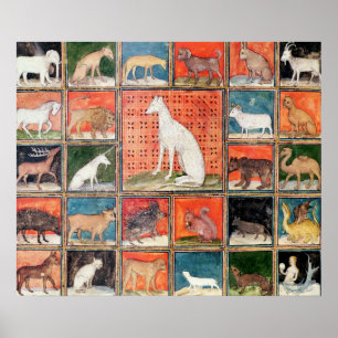 Póster Las propiedades de bestias: Los mamíferos