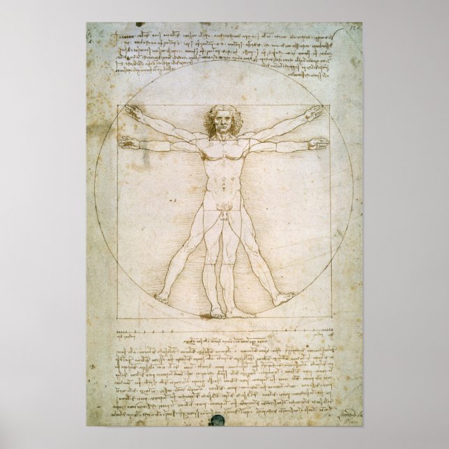 Póster Las proporciones de la figura humana (Frente)