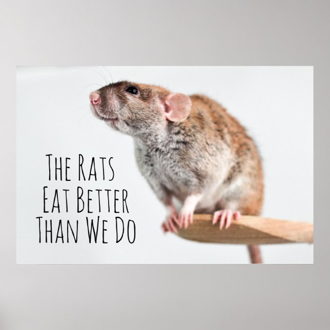Póster Las ratas comen mejor que nosotros (Frente)