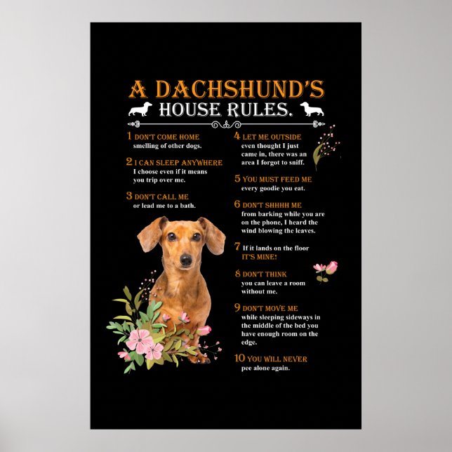 Póster Las reglas de la casa de un Dachshund (Frente)
