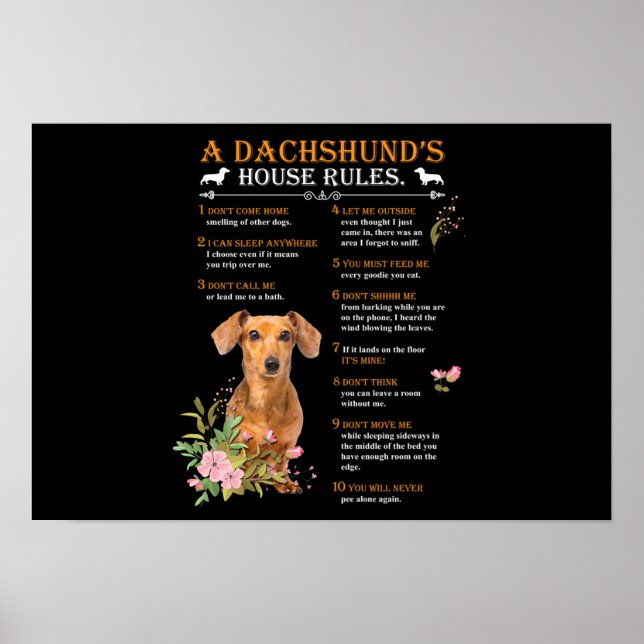 Póster Las reglas de la casa de un Dachshund (Frente)