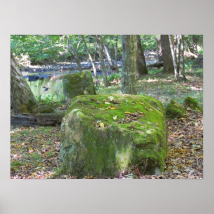 Póster Las Rocas De Mossy En La Orilla