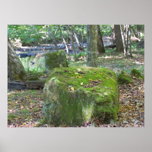 Póster Las Rocas De Mossy En La Orilla (Frente)