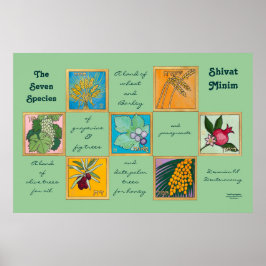 Póster Las siete especies o el minim shivat