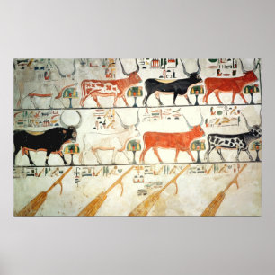 Póster Las siete vacas celestiales y el toro sagrado