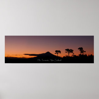 Póster Las sombras de Taranaki
