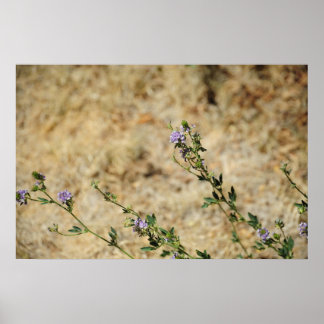 Póster Las tierras salvajes de Nuevo México