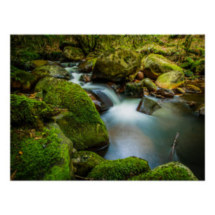 Póster Las tranquilas aguas de Wicklow