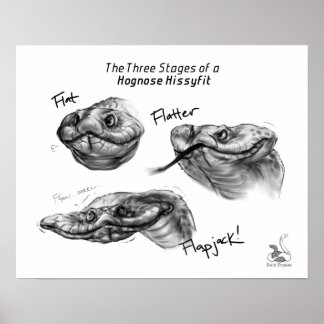 Póster "Las tres etapas de un Hissyfit de Hognose"