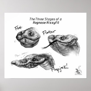 Póster "Las tres etapas de un Hognose Hissyfit "