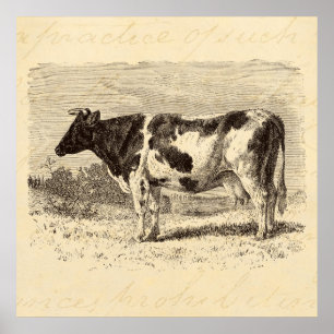 Póster Las vacas retras de la vaca holandesa grande de