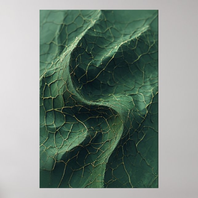 Póster Las venas rotas de la naturaleza: una detallada ho (Frente)