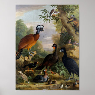 Póster Las viejas aves de Jakob Bogdani en un paisaje