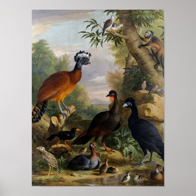 Póster Las viejas aves de Jakob Bogdani en un paisaje (Frente)