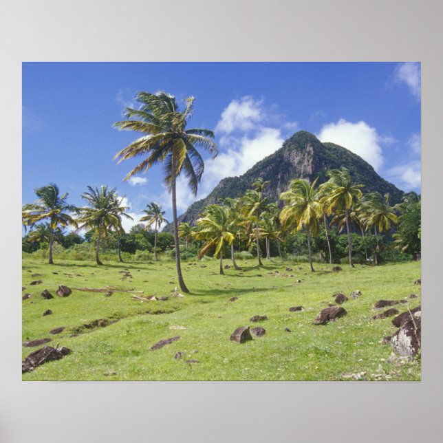 Póster Las vistas de Gros Piton a lo largo de la ruta his (Frente)