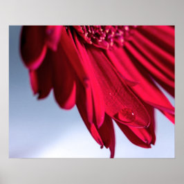 Póster Lass Blüten Sprechen