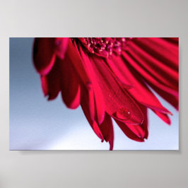 Póster Lass Blüten Sprechen