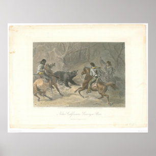 Póster Lassoing un oso (1178A)