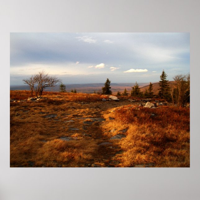 Póster Late Afternoon on the Sods (Frente)