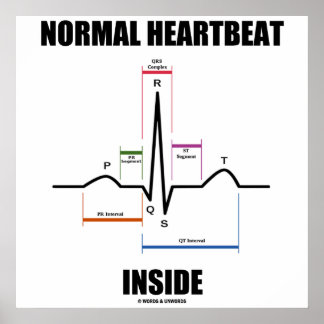 Póster Latido normal dentro del ECG EKG Electrocardiogram