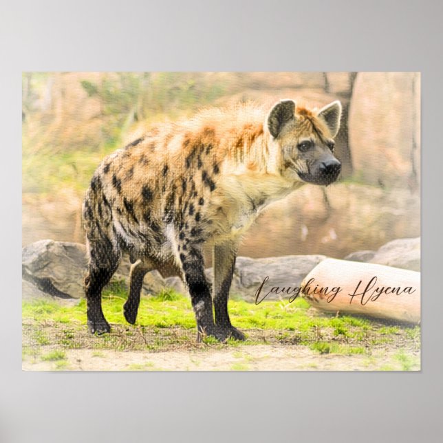 Póster Laughing Hyena (Frente)