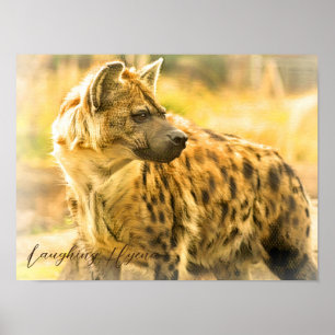 Póster Laughing Hyena ポ ス タ